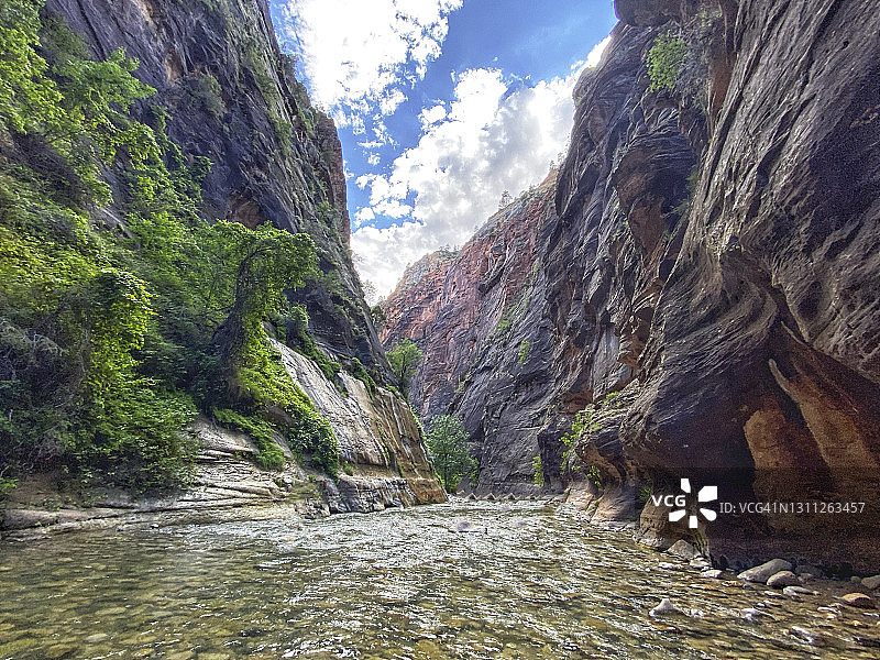 美国犹他州锡安国家公园维珍河的峡谷图片素材