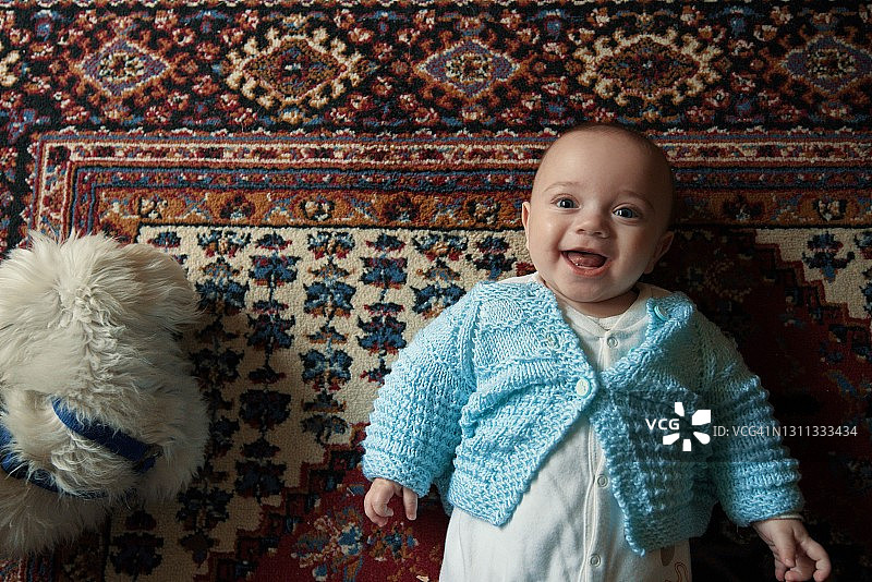 快乐的男婴与熟睡的马尔济斯犬图片素材