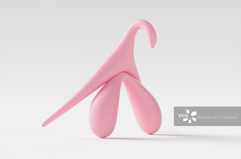 白色背景上女性克里托里斯器官的医学模型特写，3D渲染图图片素材