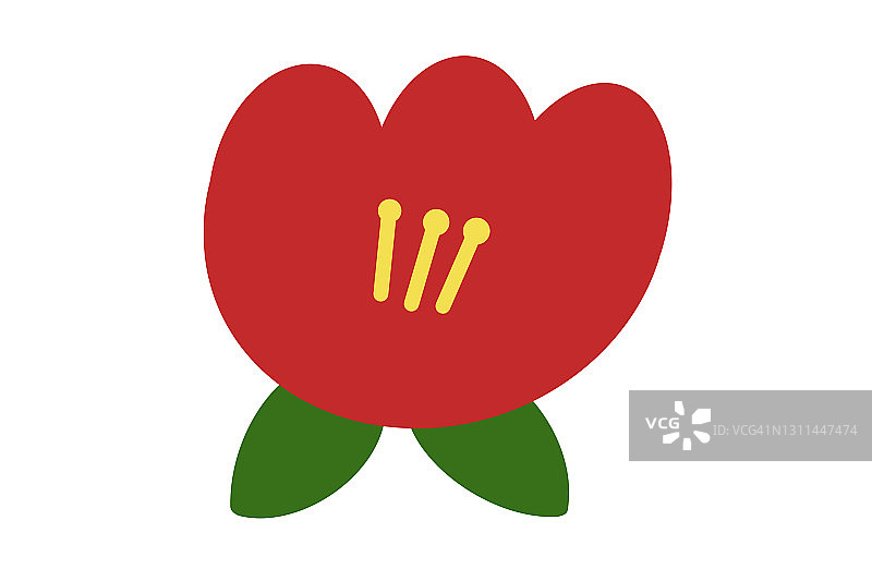 数字绘画山茶花图片素材