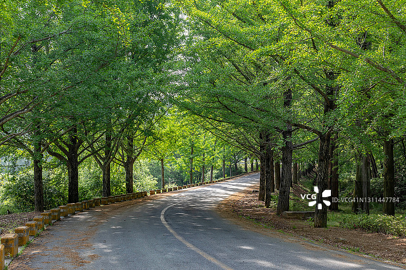 通往韩国首尔吉祥寺的道路图片素材