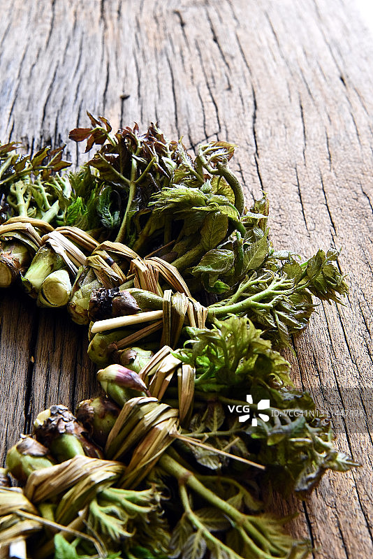 嫩绿的韩国刺老芽图片素材