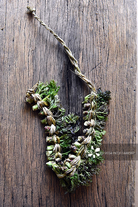 嫩绿的韩国刺老芽图片素材