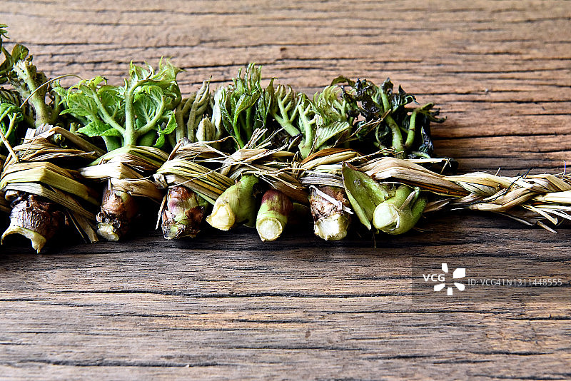 嫩绿的韩国刺老芽图片素材