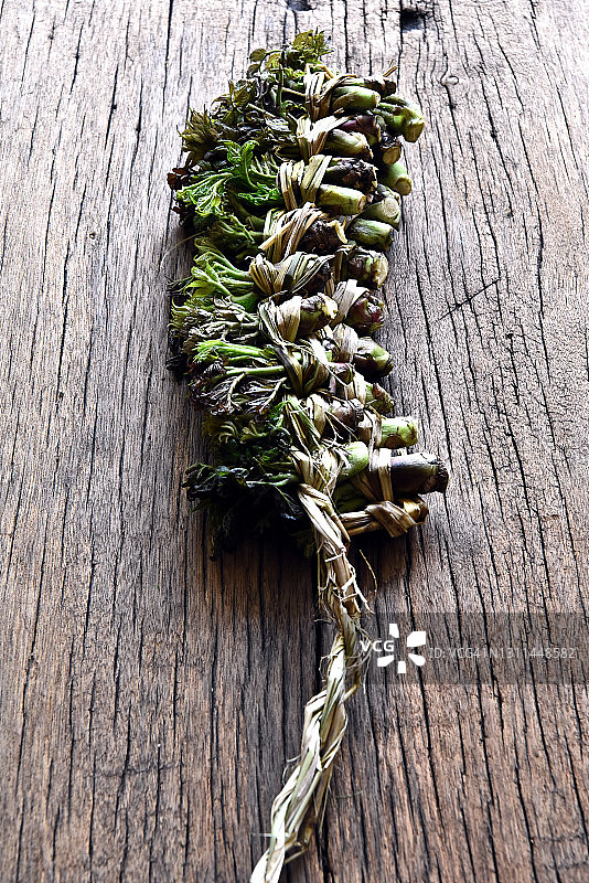 嫩绿的韩国刺老芽图片素材