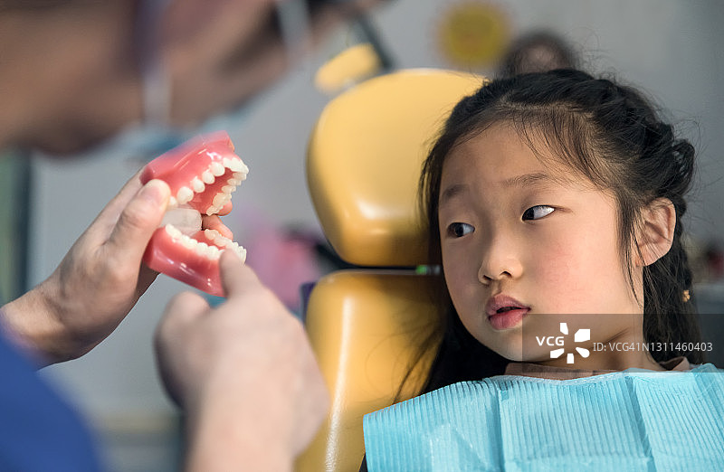 牙医展示儿童牙齿模型图片素材