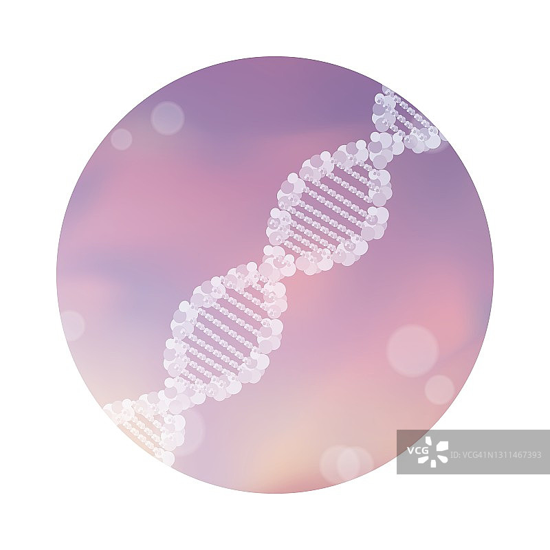 DNA双螺旋插图图片素材