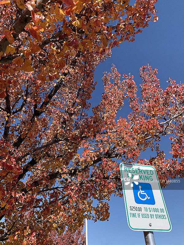 预留停车位标志图片素材