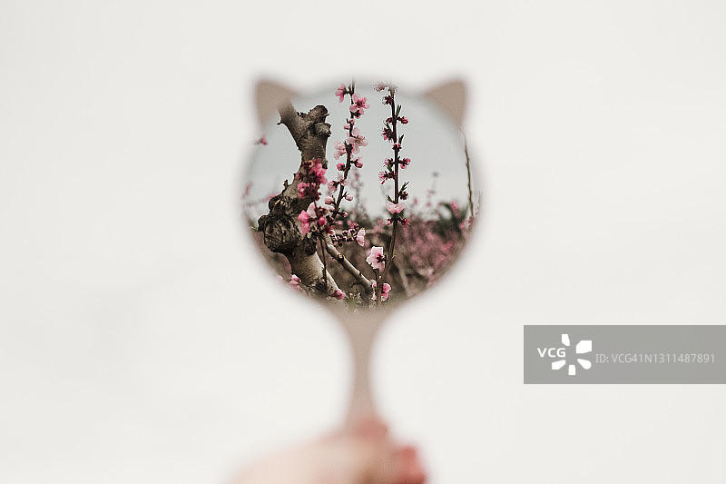 镜中倒影的自然风光图片素材