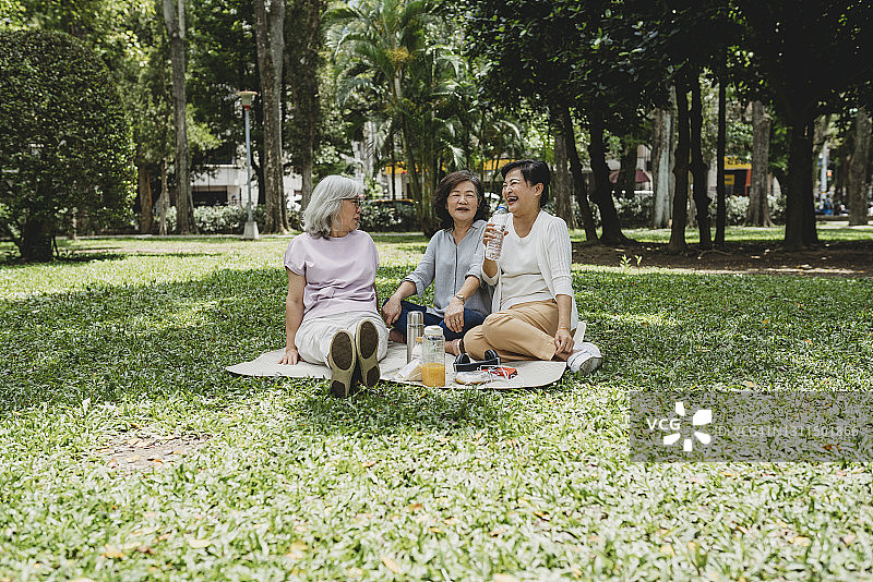 三位女士在公园野餐图片素材