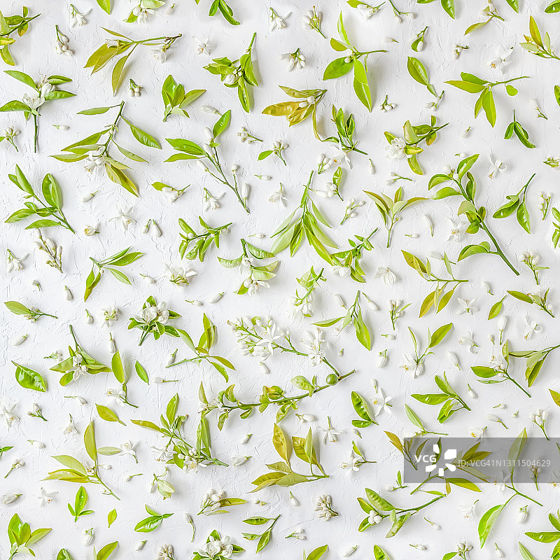 树叶橙花无缝图案，白色背景图片素材