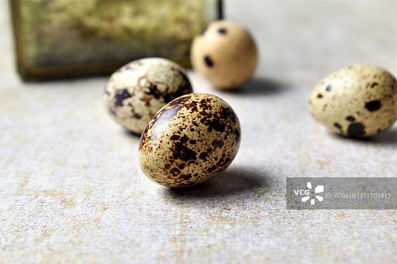 桌子上的鹌鹑蛋图片素材