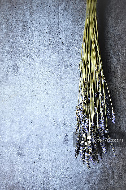 乡村背景下的薰衣草花束图片素材