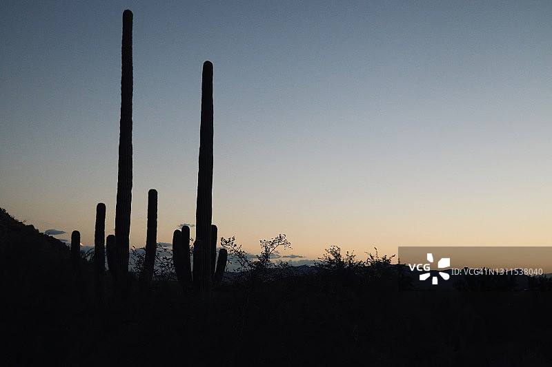 西南部剪影风景图片素材
