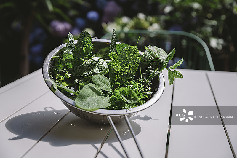 桌上漏勺里的混合香草图片素材