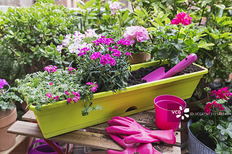 阳台盆栽花卉图片素材