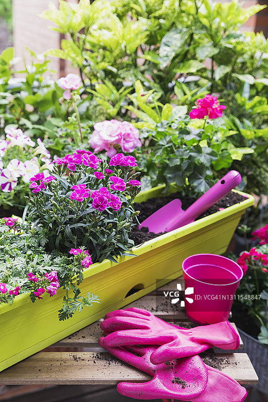 阳台盆栽花卉图片素材