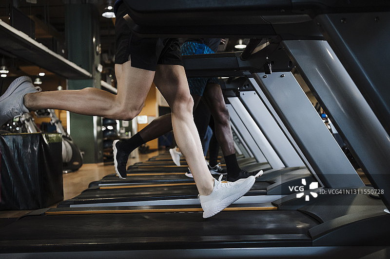 在健身俱乐部跑步机上一起跑步的运动人群图片素材