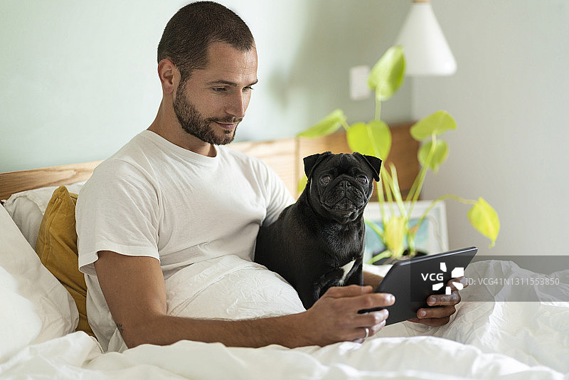 年轻男人和巴哥犬在家中床上使用平板电脑图片素材