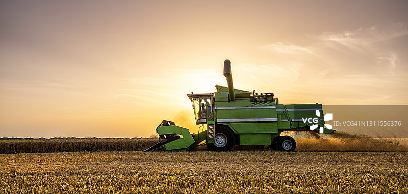 联合收割机在日出时收割麦田图片素材