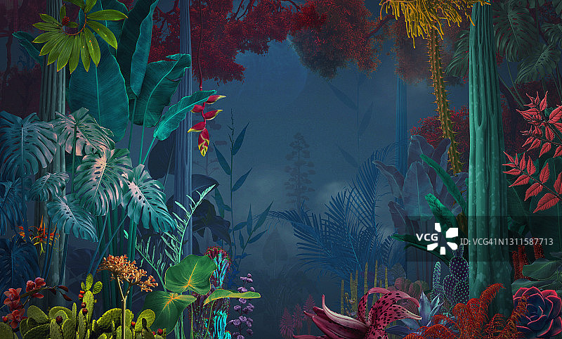 梦幻超现实的夜间丛林/花园图片素材