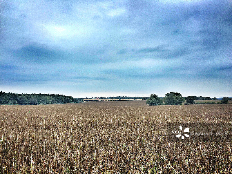 暴风雨天空下的农田图片素材