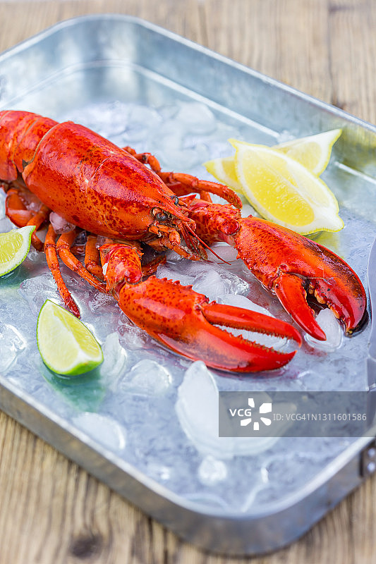 新鲜红龙虾静物图片素材