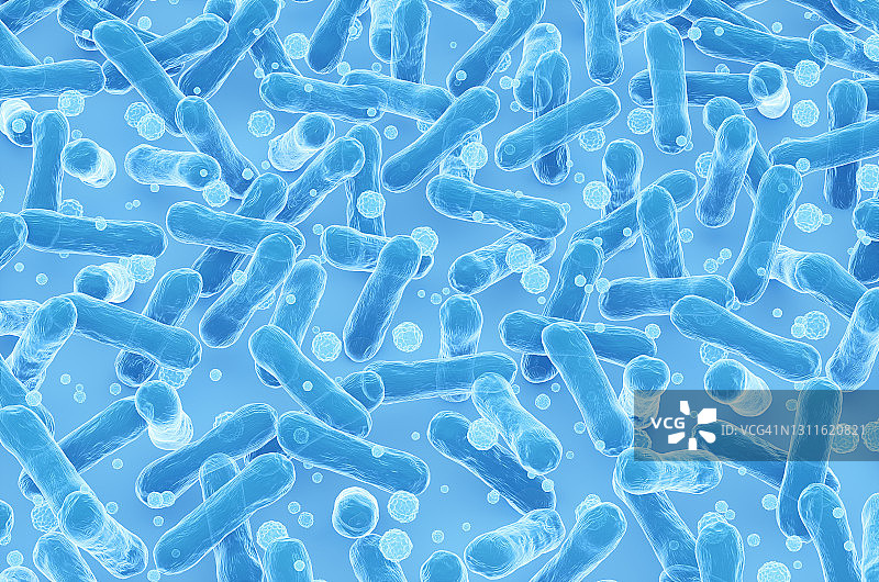 蓝色背景下的大肠杆菌。显微镜下细菌的全画幅3D渲染图图片素材
