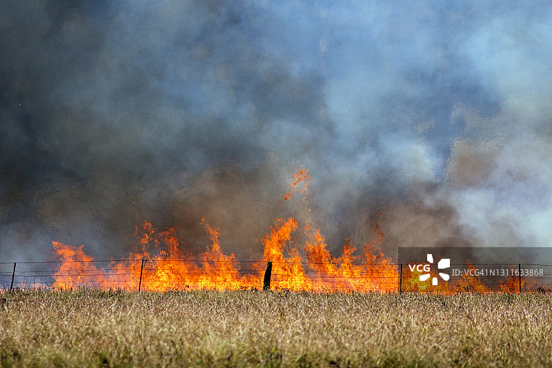 森林火灾火焰、烟云，田野、农场的草火特写图片素材