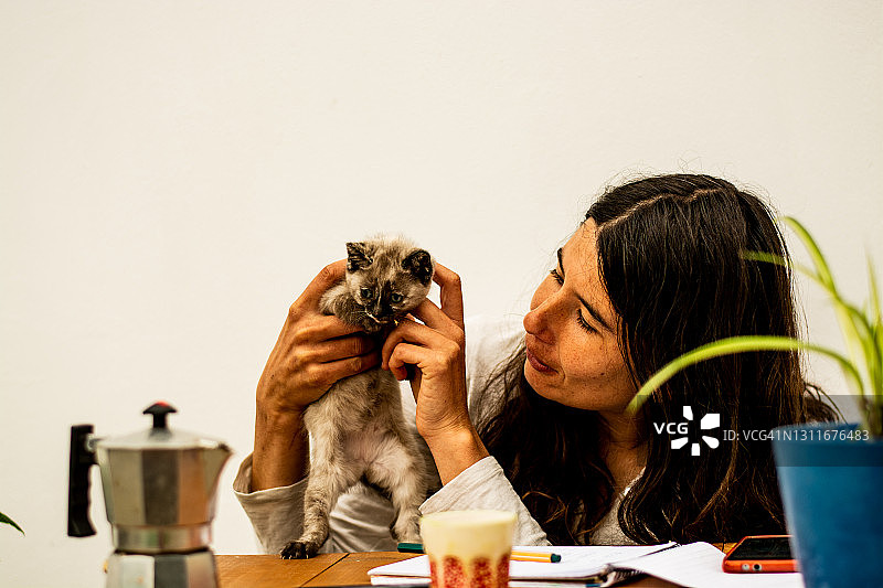 年轻女人在家边工作边逗猫图片素材