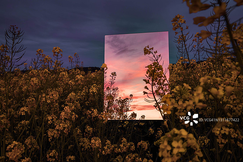 镜中反射自然日落景观的创意照片图片素材