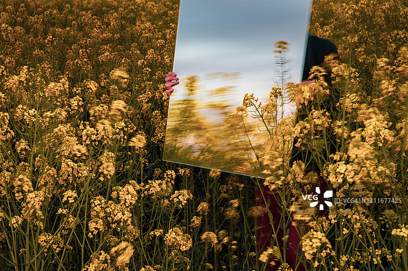 创意图片：矩形镜子反射自然景观图片素材