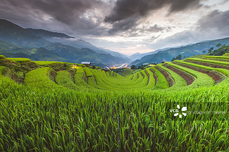 越南沙巴附近的梯田稻田景观图片素材