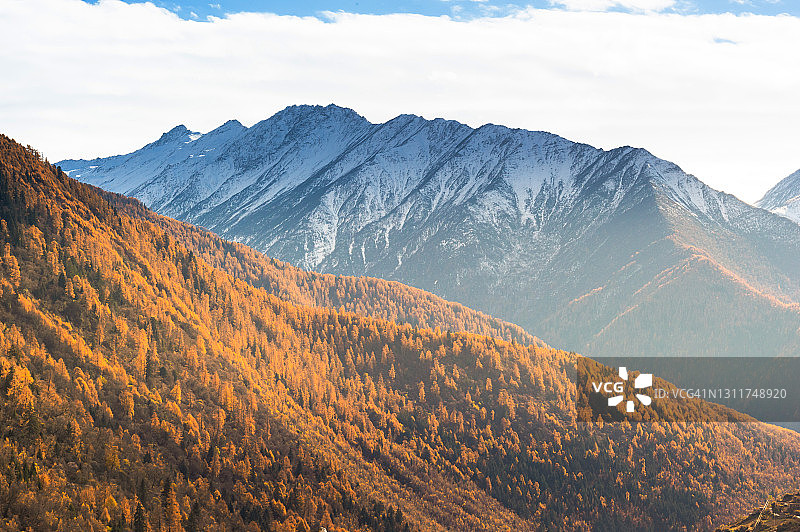 中国四川稻城亚丁自然保护区秋景图片素材