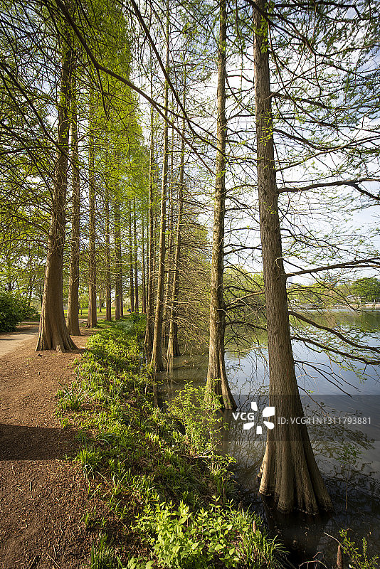 佐治亚州亚特兰大图片素材