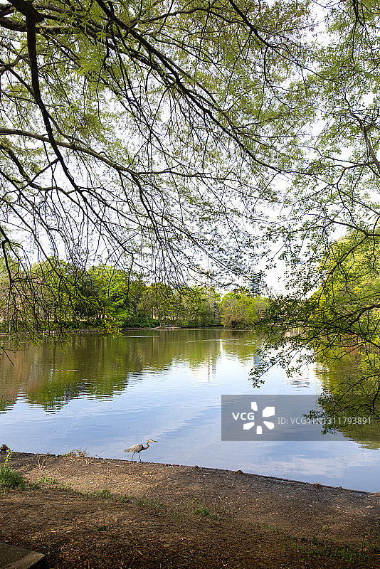 佐治亚州亚特兰大图片素材