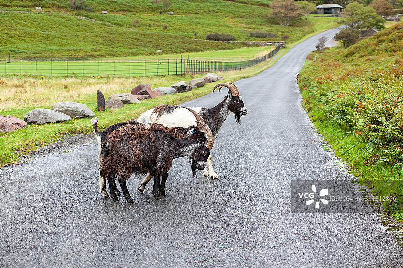 英国德文郡的户外风光图片素材