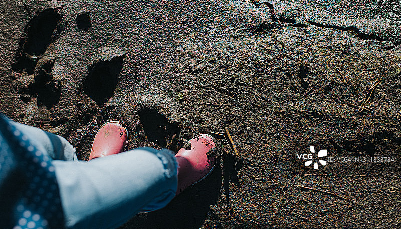 深陷泥潭图片素材