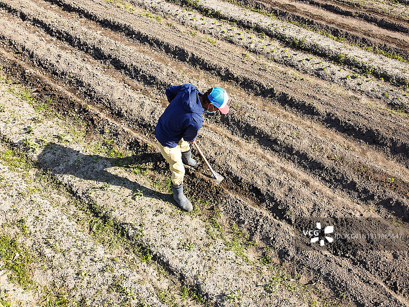 农民犁地（无人机视角）图片素材
