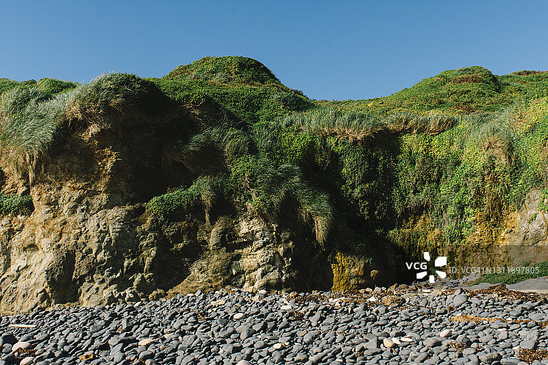 菲利普岛上覆盖着茂盛绿色植被的 необычное 岩石峭壁图片素材