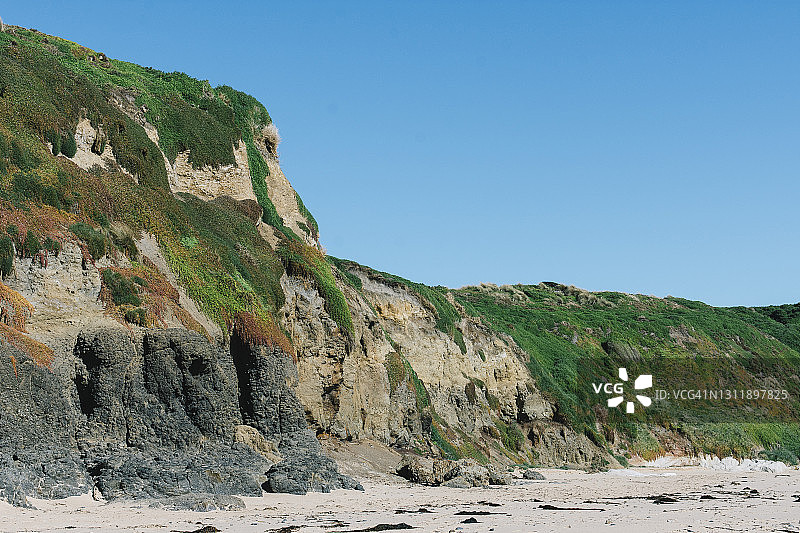 澳大利亚菲利普岛海滩岩石峭壁上生长的茂盛植物图片素材