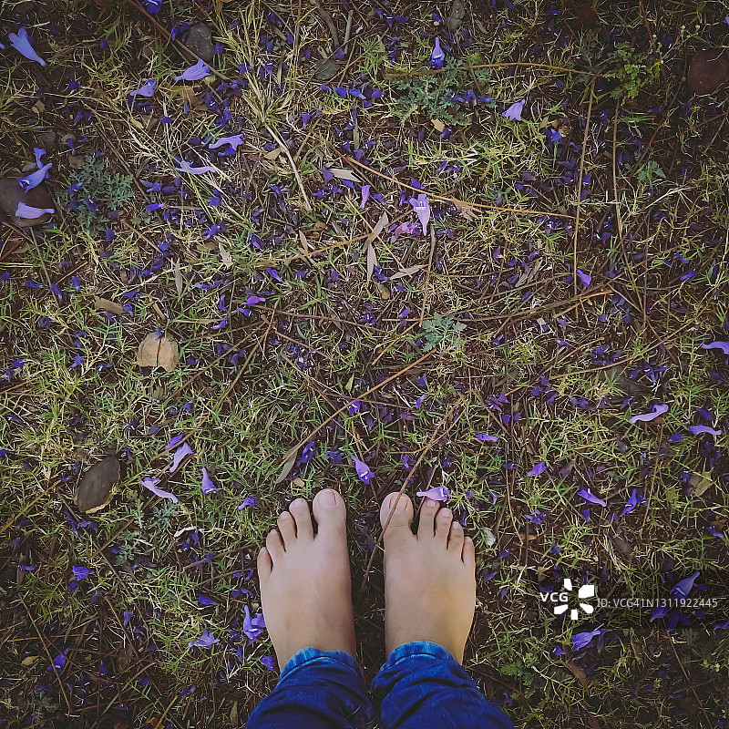 地面上的蓝花楹落花与女子图片素材