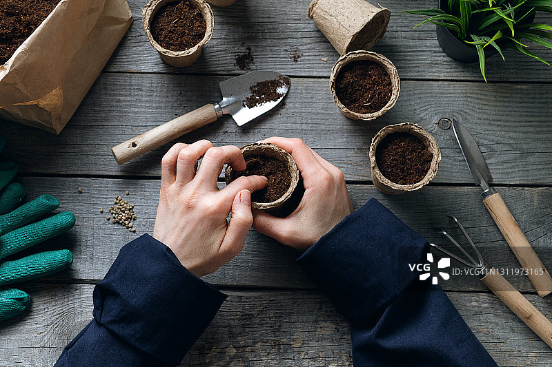 一名妇女将种子种在装满泥土的泥炭盆里。种植或移植花卉、植物或蔬菜图片素材
