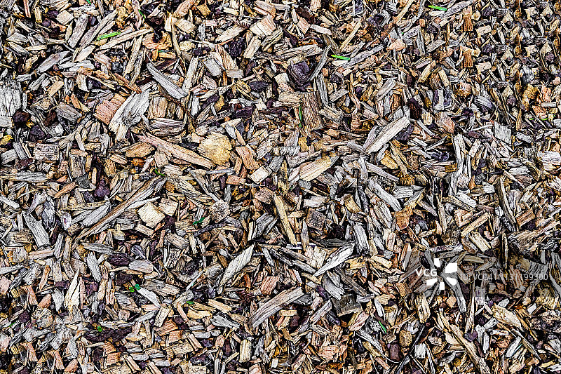 森林地面特写图片素材