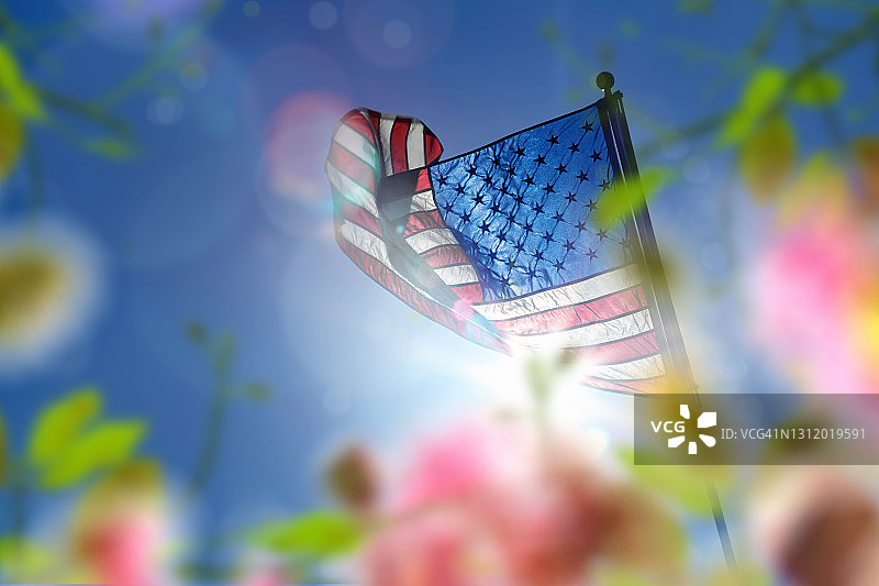 阳光明媚的天空下飘扬的美国国旗和鲜花图片素材