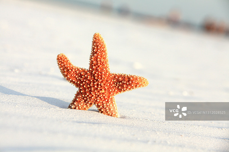 夏日海滩度假时光图片素材