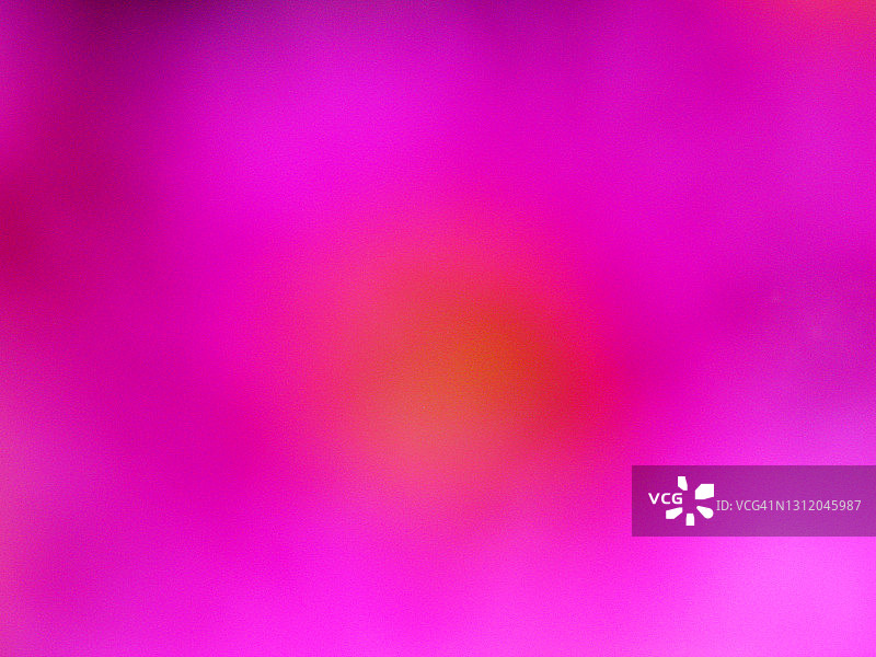 色彩鲜明的花朵抽象照片图片素材