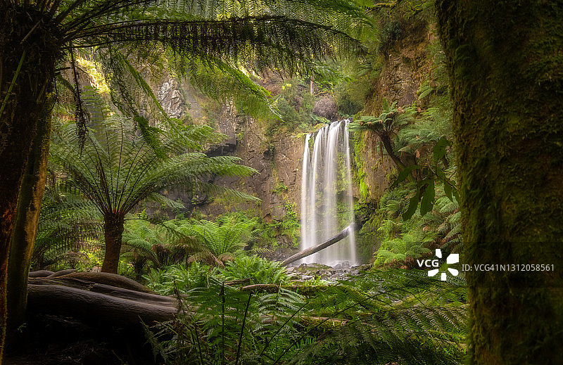 霍普顿瀑布，位于澳大利亚维多利亚州奥特威图片素材