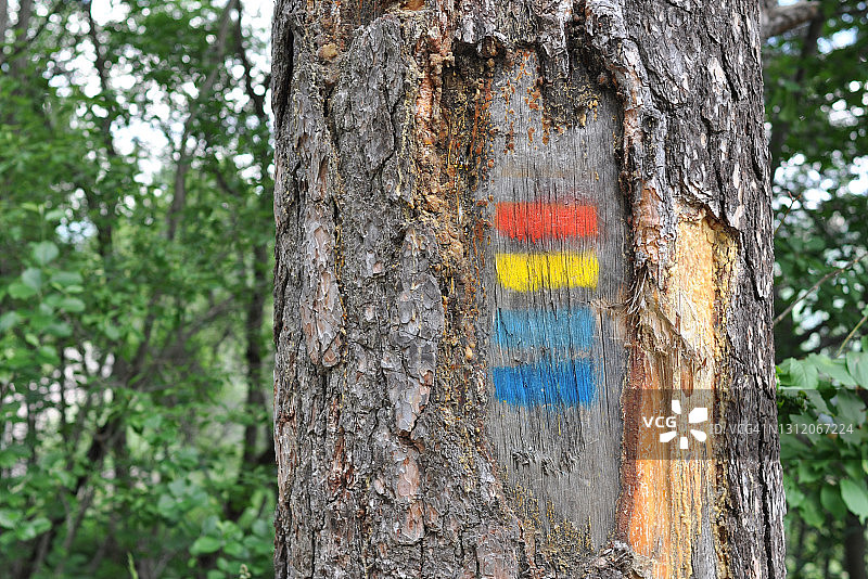 小路路标图片素材
