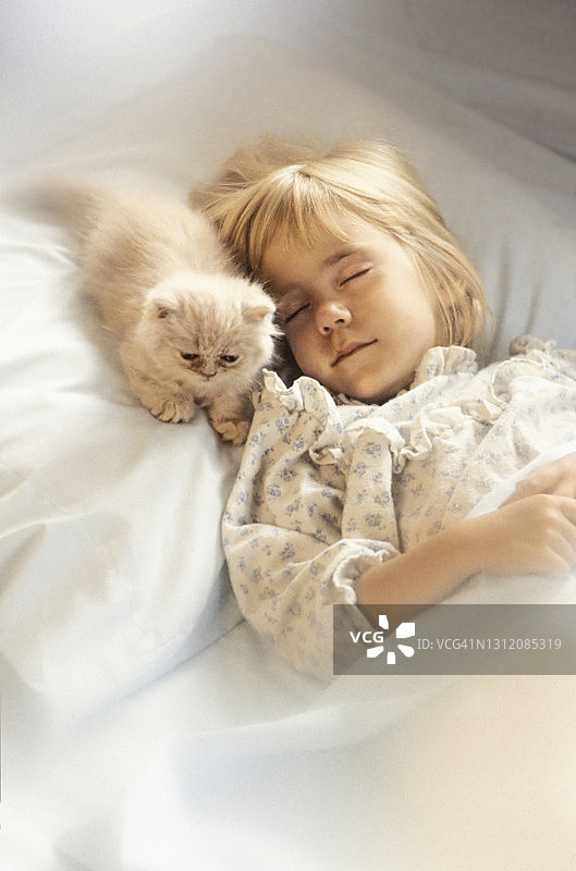 女孩(6-7岁)与在床上睡觉的小猫图片素材